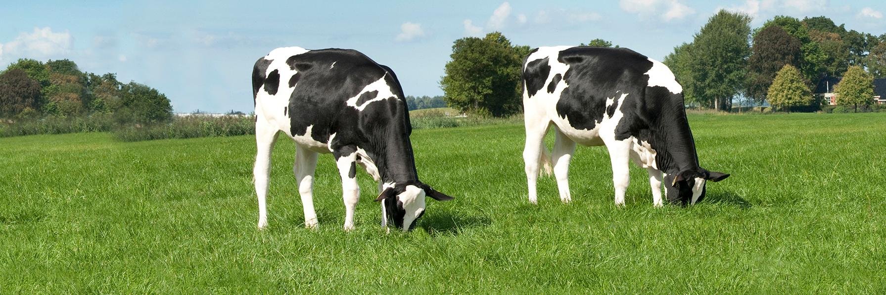 PEAKGenetics's profile banner image