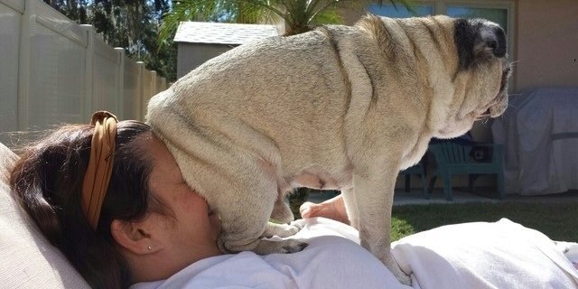 em0pug's profile banner image