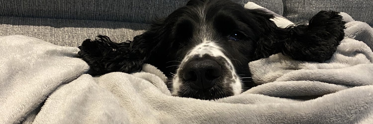 summmerbaxter's profile banner image