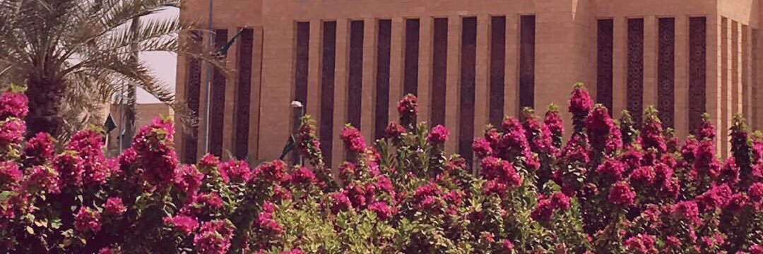 baraah8's profile banner image