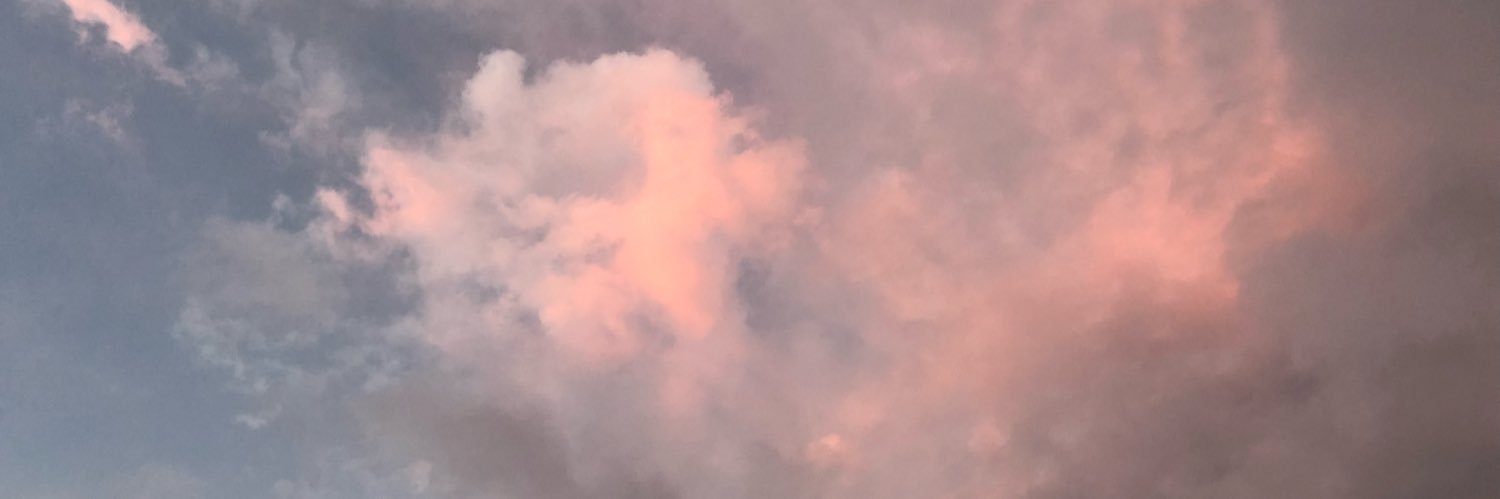 NicoleBoyleee's profile banner image
