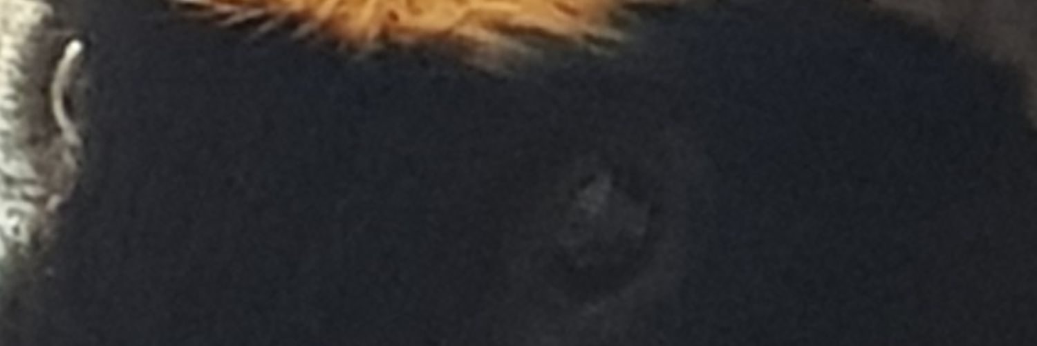 JimQ2's profile banner image