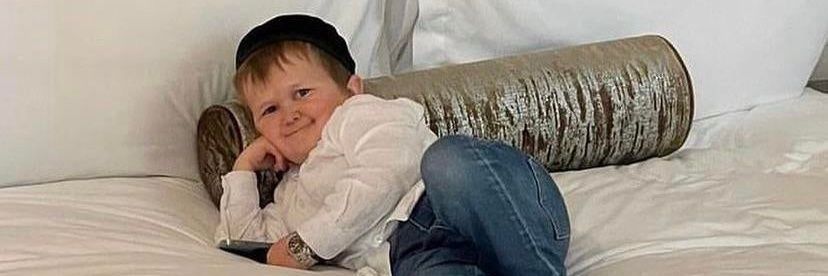 Henrique Netto banner