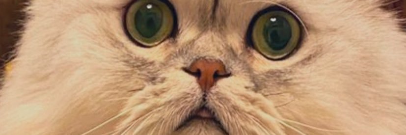 memetamu29's profile banner image