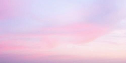 nora_bieber's profile banner image