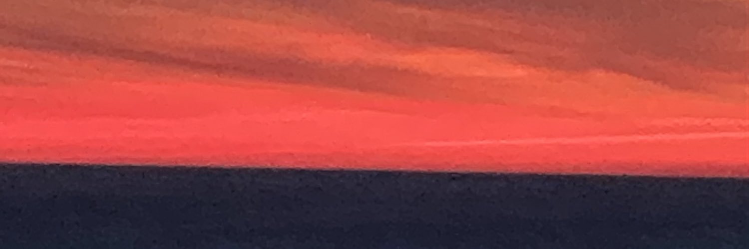 LSDMoser's profile banner image