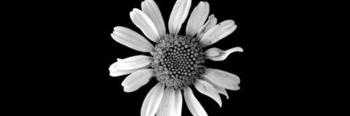 KareMarano04's profile banner image