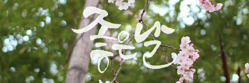 조병대 banner