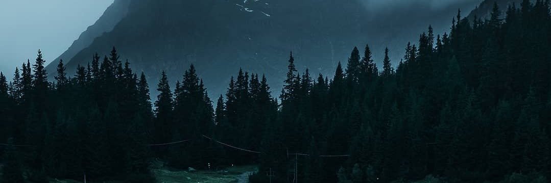 Ty Grady {Parody} banner