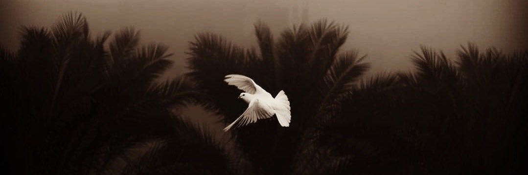 eivor banner