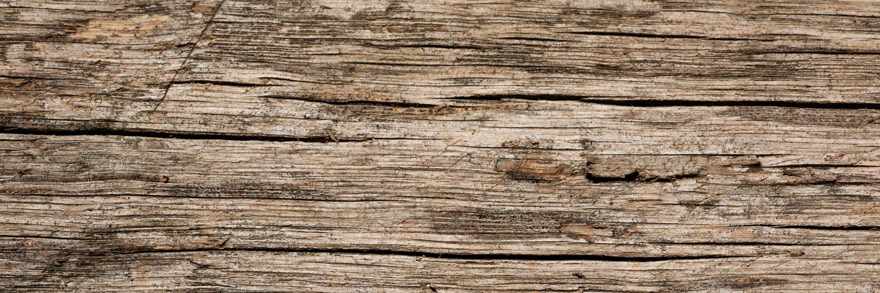 TTBOutdoors's profile banner image
