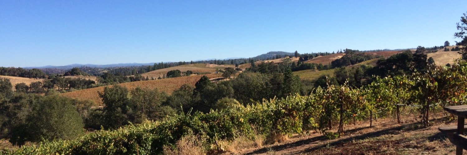 TheWineWife's profile banner image