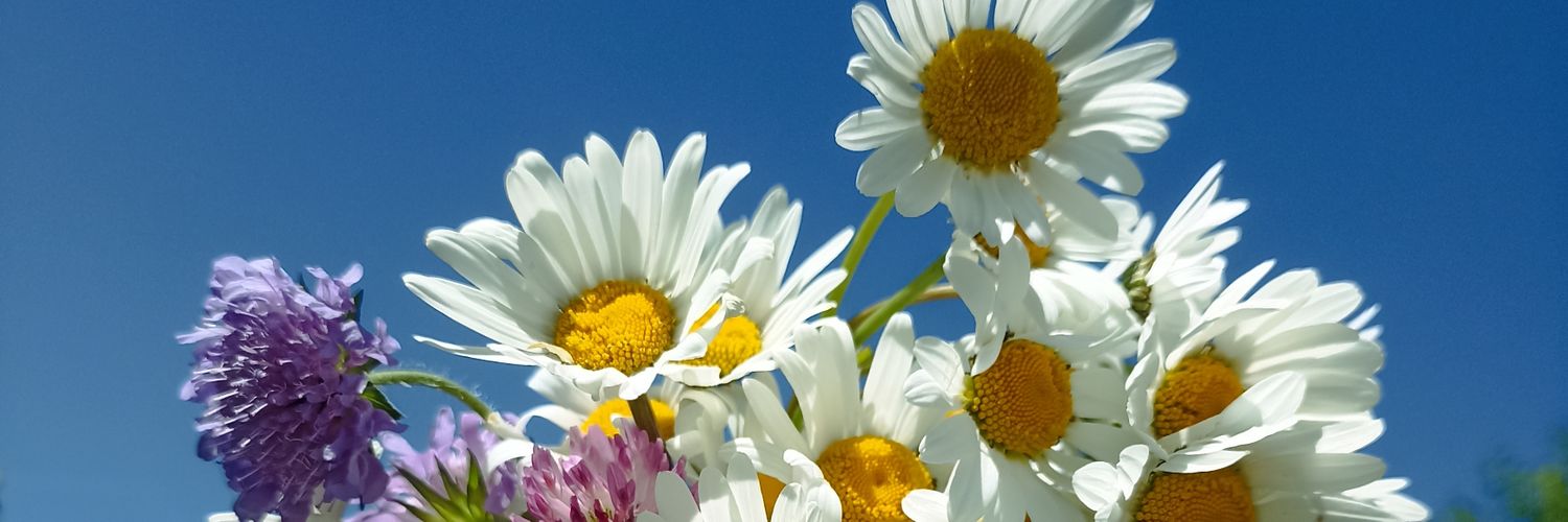Val / Bonne à rien - Mauvaise en tout 🙃 banner