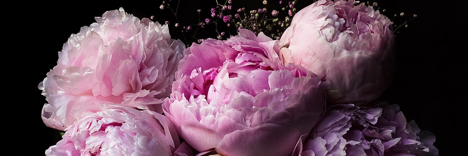 MoeSpillane's profile banner image