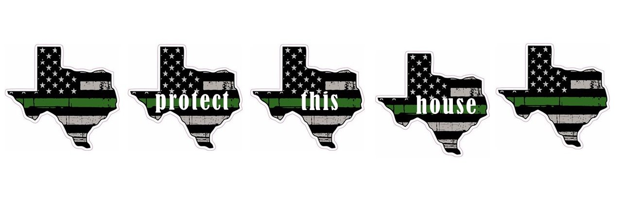 AHS Lady Colt VB banner