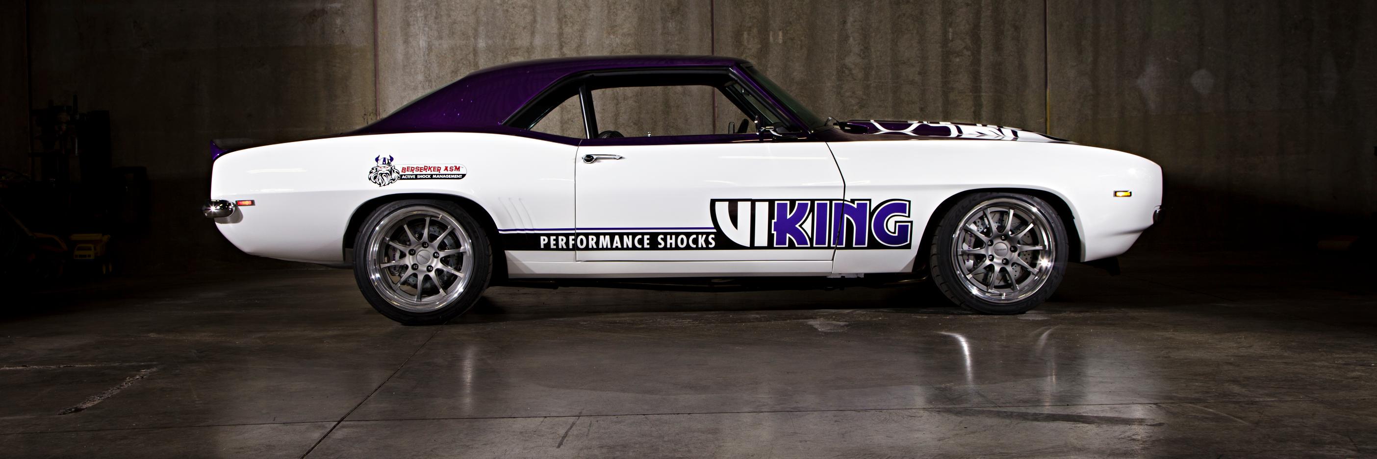 Viking Performance banner