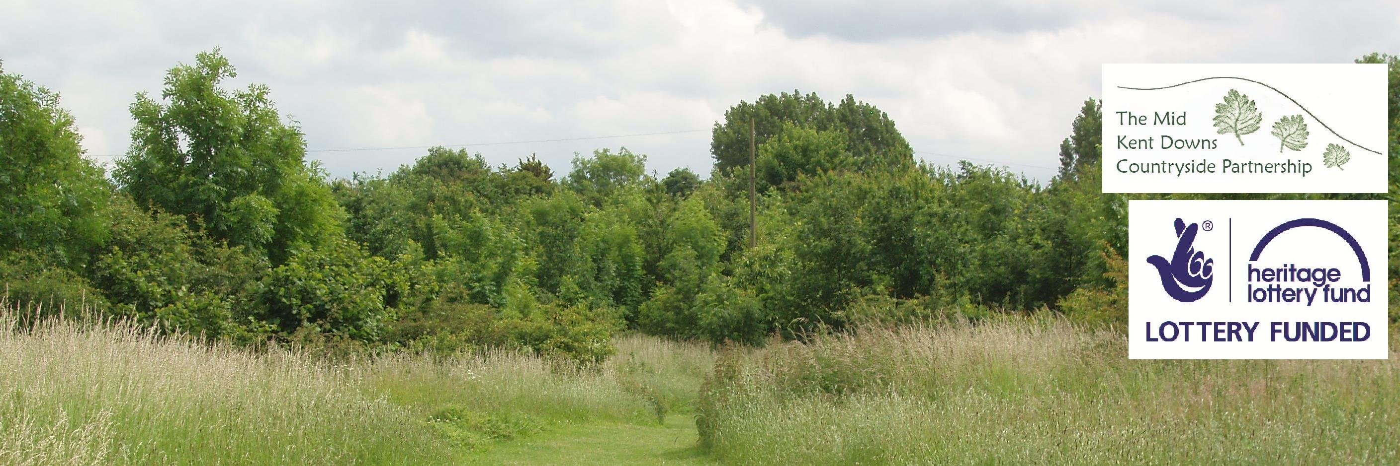WWHHi's profile banner image