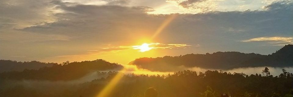 lah_saifu's profile banner image