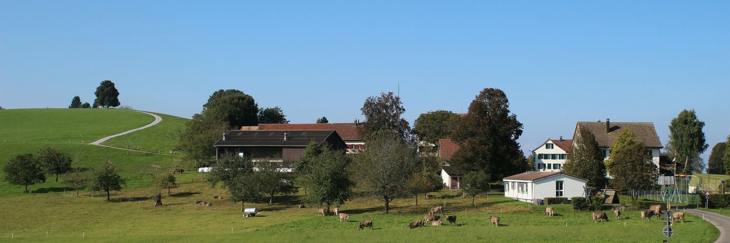 Christa Stünzi banner