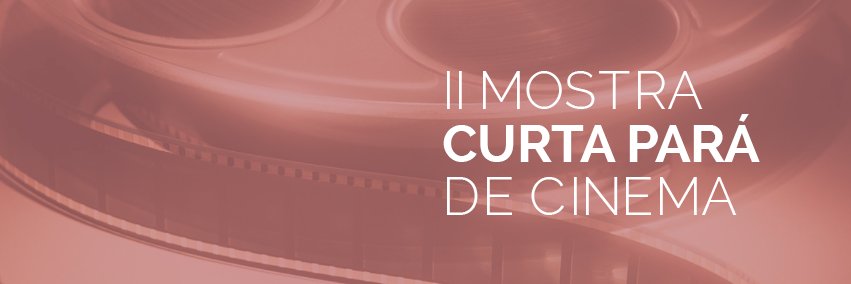curtapara's profile banner image