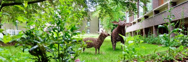 FitzSLO Profile Banner