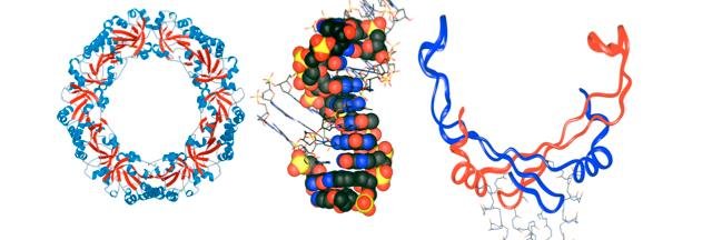 Oregon State BB banner