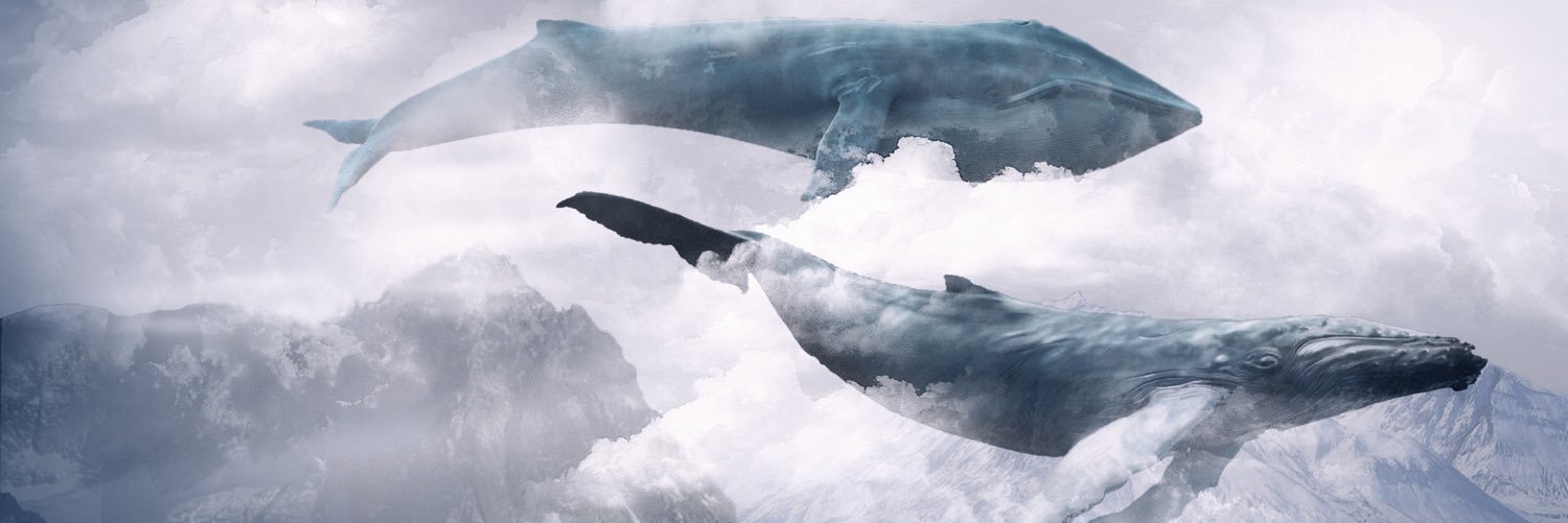 cobe_553's profile banner image