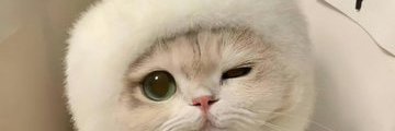 ms_ninnie's profile banner image