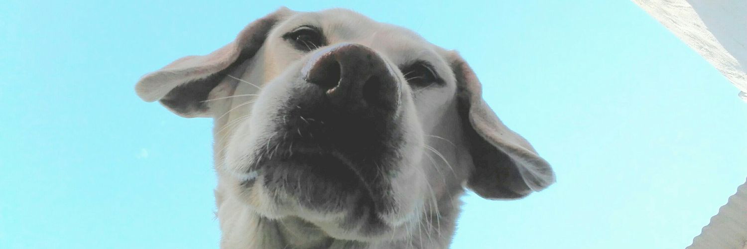 torresagu1's profile banner image