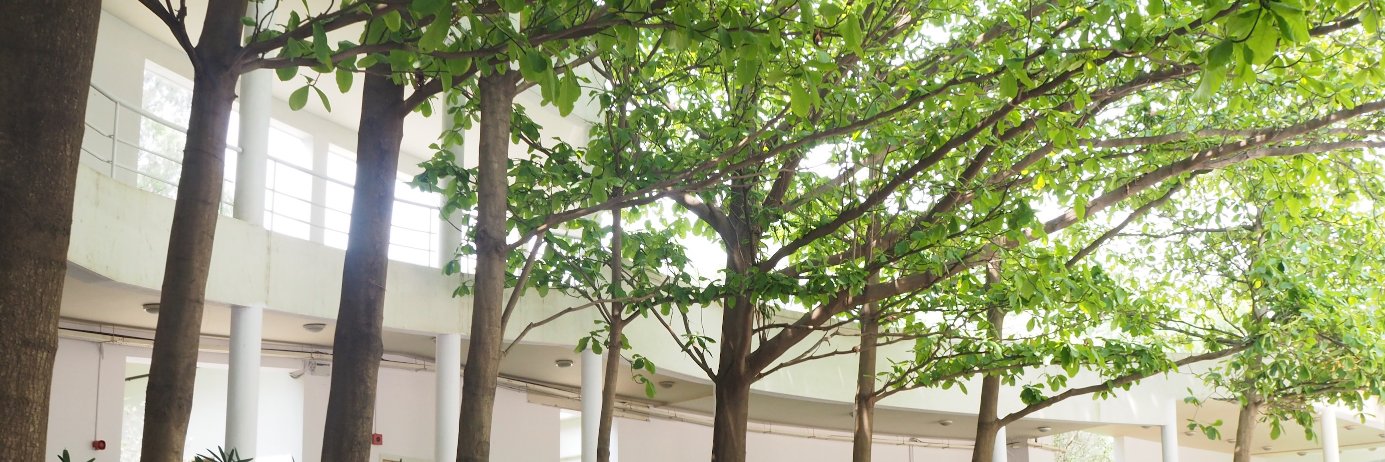 Emma Dewberry banner