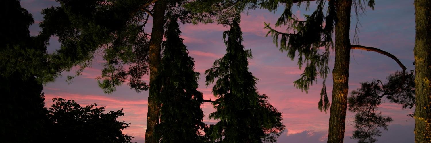 ClareK2014's profile banner image