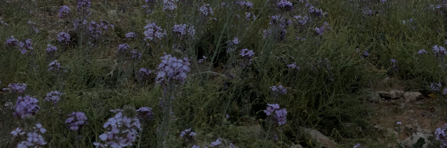 Mo2id's profile banner image