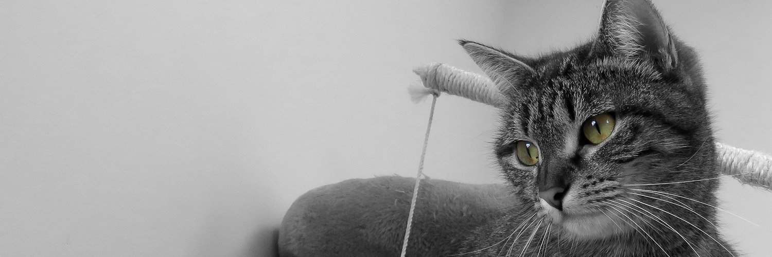 SPA_Montlucon's profile banner image