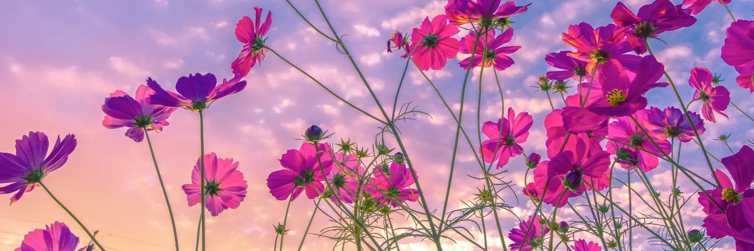 jjeya45's profile banner image