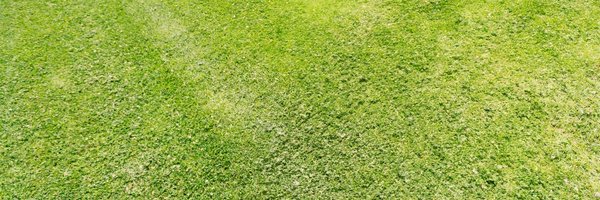 HerFavColor Profile Banner