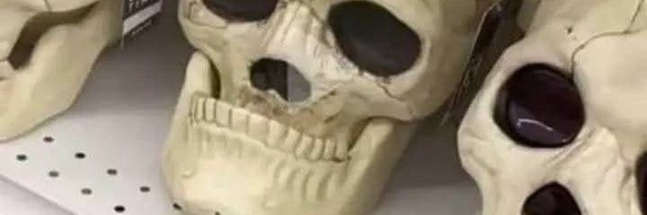 Gustav_CL's profile banner image
