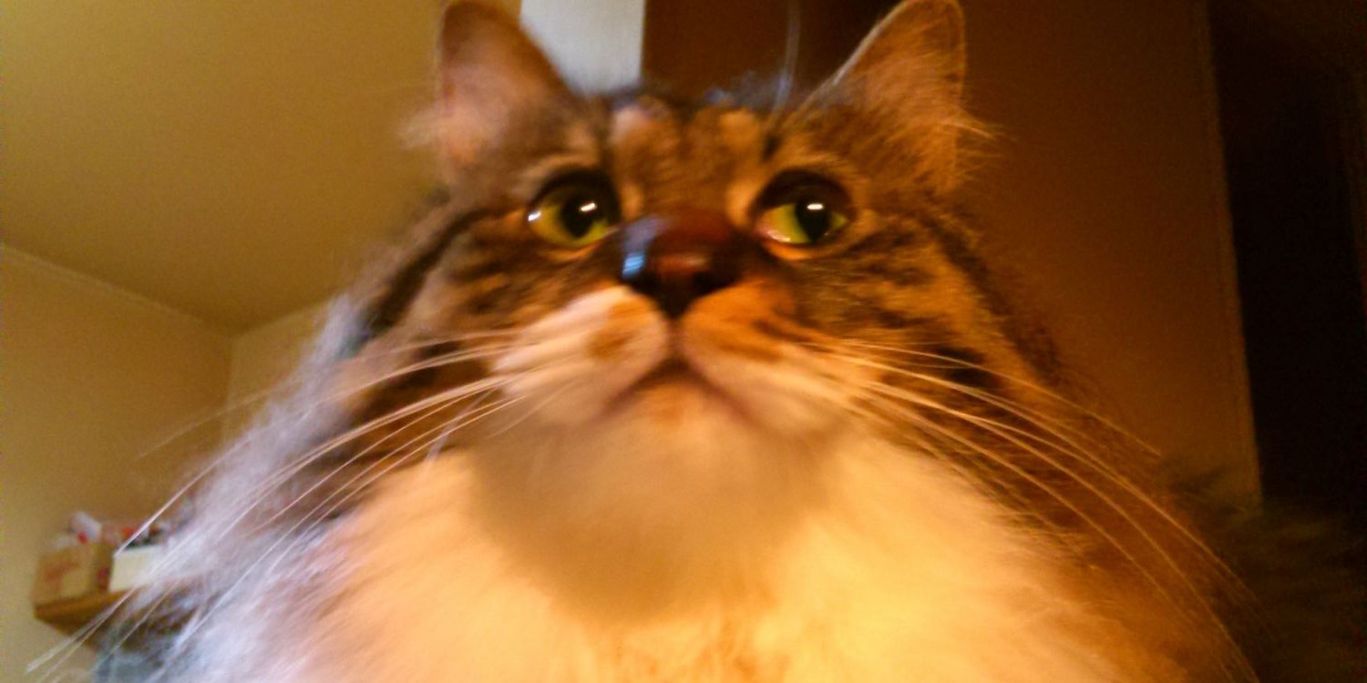 MskTkw's profile banner image
