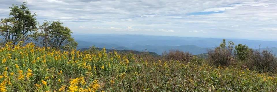 em_capps's profile banner image