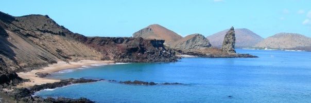 Adriana Dybala banner