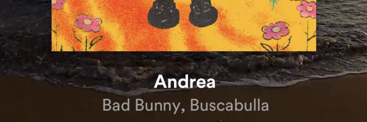 Suusuave's profile banner image