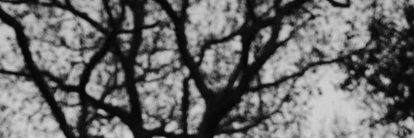 sody Profile Banner