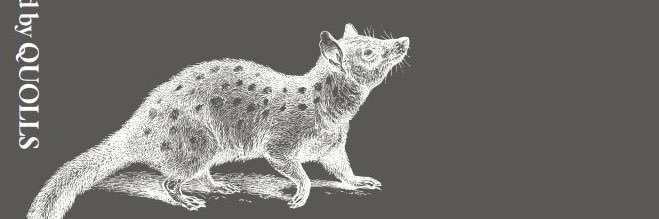 Harry Saddler banner