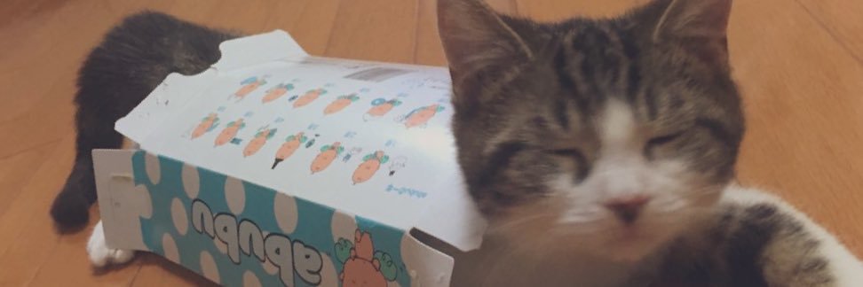 いもこ banner