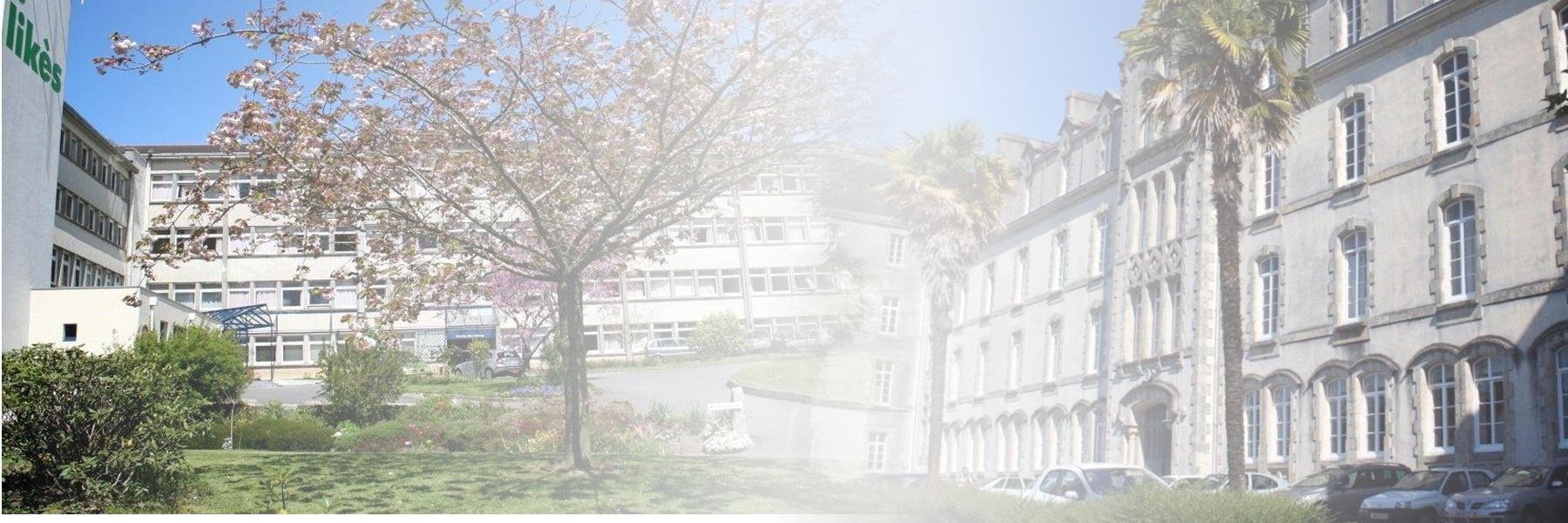 Le_Likes's profile banner image