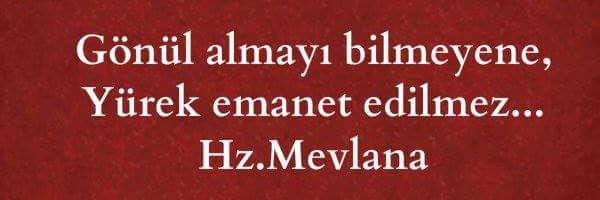GokhanRd's profile banner image