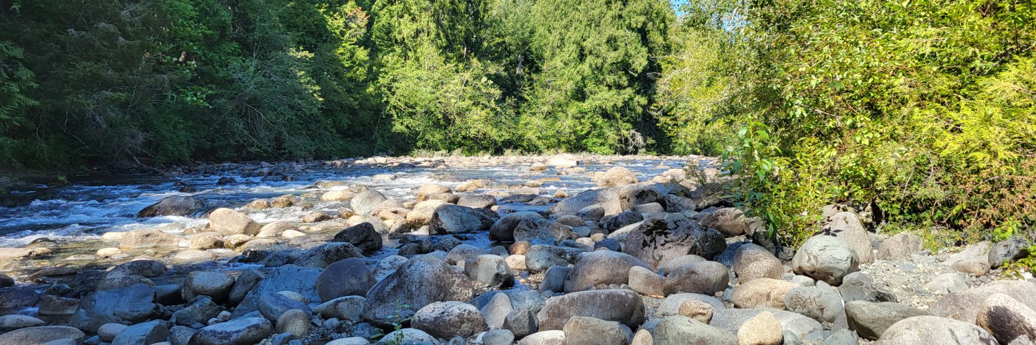 Suzan 🐯⚓️🌲🍩🦽🇨🇦☮️ banner