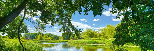 mariocuvi Profile Banner