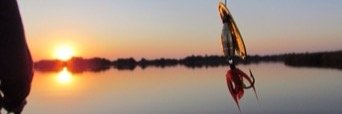 Lee_FG's profile banner image