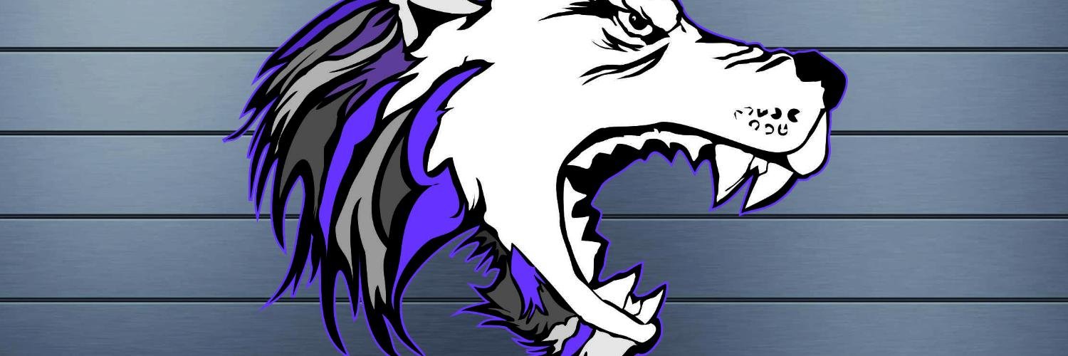 TolucaLobos's profile banner image