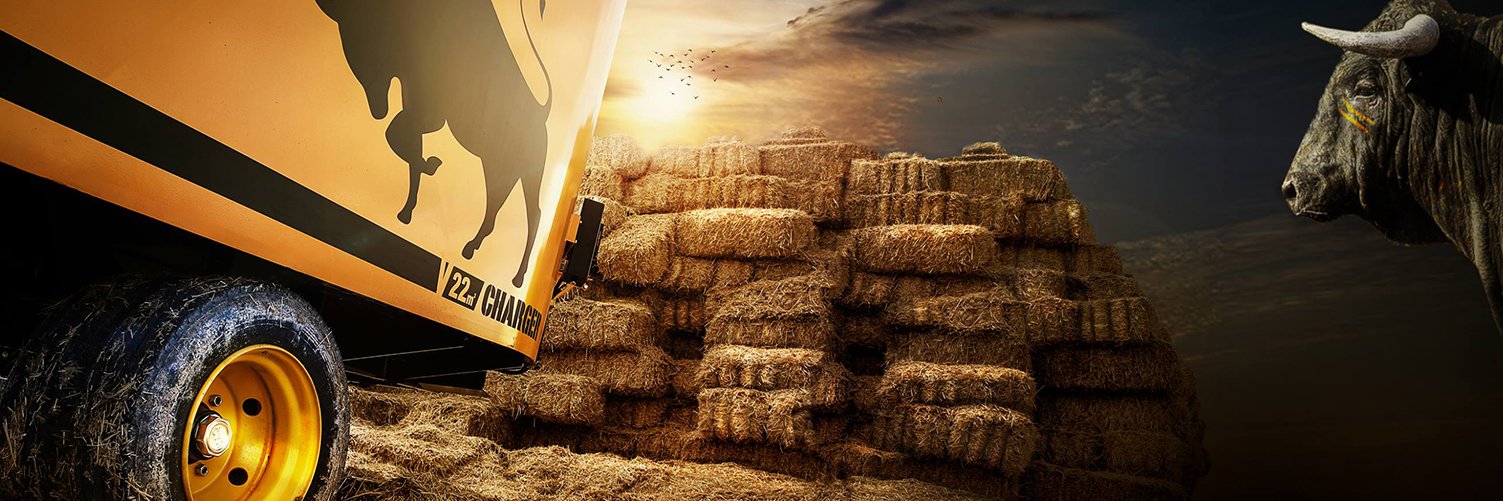 celikelco's profile banner image